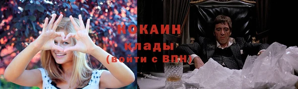 винт Абаза